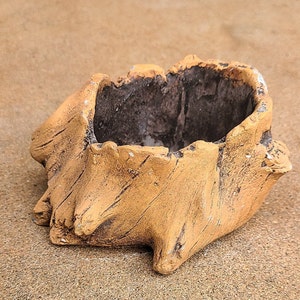 May include: A small, rustic-style planter made of ceramic, shaped like a tree stump. The planter is painted in a light brown color with a dark brown interior.