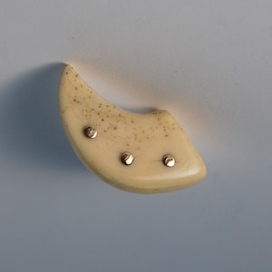 Antler Earring Gold setting, antler earring, Gold studs accents White antler Earring, boyfriend Gift, antler horn earring, Antler for him