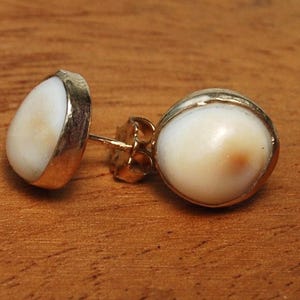 Shell Shiva Operculum Stud Earrings, Pacific Cat’s Eye, Natural Chestnut Sterling Gold Filled