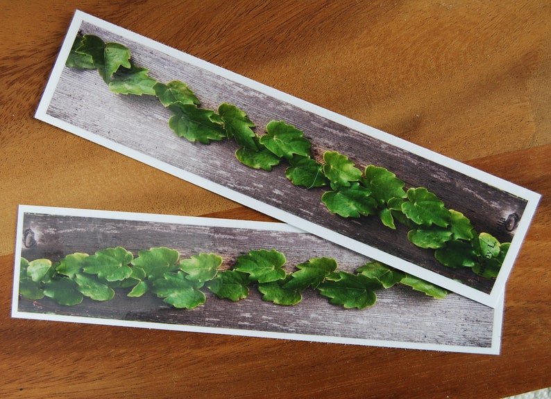 Leaf Bookmarks / Laminated Bookmarks / English Ivy Bookmark / Etsy