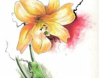 Lily Flower print / pen and ink drawing / oil pastel painting / flower painting / golden yellow Lily / house warming gift