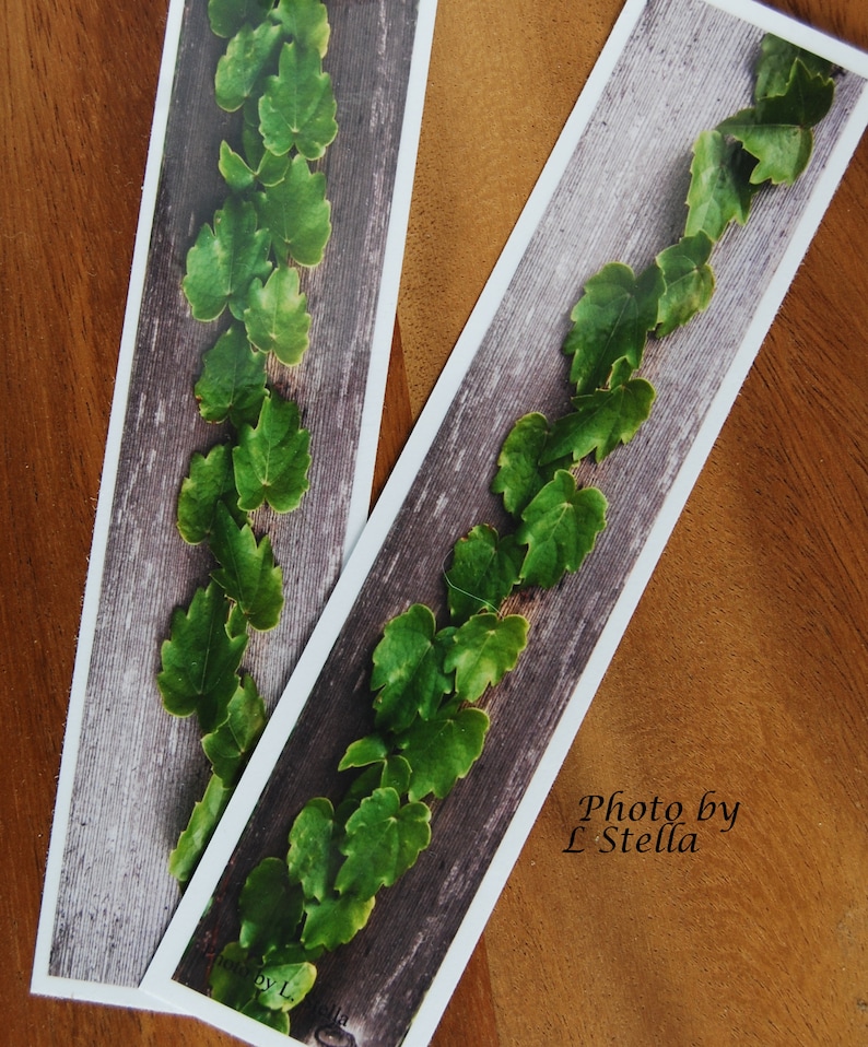 Leaf Bookmarks / Laminated Bookmarks / English Ivy Bookmark / Etsy