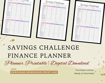 Savings Challenge Planner Page, Money Saving Tracker PDF, Printable Finance Sheet, Digital Download