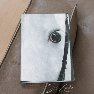 Horse Eye - Matte Hardcover Notebook Journal