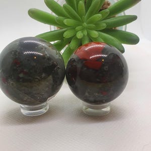 Puede incluir: Dos esferas pulidas de piedra de sangre, una con base gris oscuro y otra con base roja, se asientan sobre soportes transparentes. Las esferas están frente a una planta suculenta verde. La piedra de sangre tiene inclusiones rojas y grises.