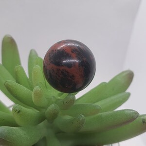 Op de afbeelding: Een gepolijste, bolvormige edelsteen met een opvallend patroon van rode en zwarte wervelingen. De bol rust op een cluster van groene succulentenbladeren, waardoor een contrast van texturen en kleuren ontstaat. De edelsteen heeft een diameter van ongeveer 2,5 cm.