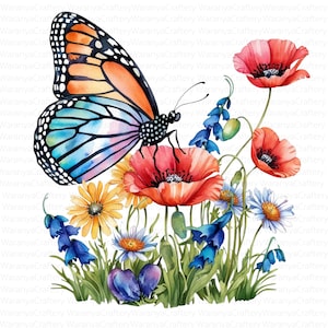 Bella farfalla floreale Clipart / 12 JPG / Farfalle monarca e blu con fiori di campo / Download digitale per stampe e sublimazione