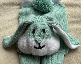 Hand knitted rabbit pyjama case