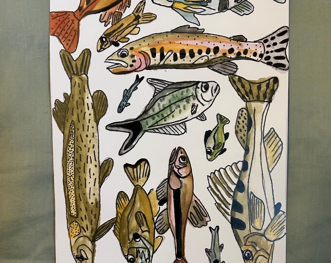 Native Fish of Colorado Print- Watercolor Fish, Colorado Fish, Gift for ...