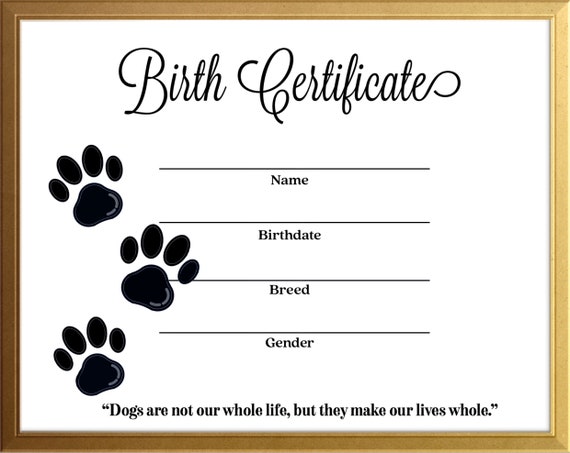 how to get dog birth certificate