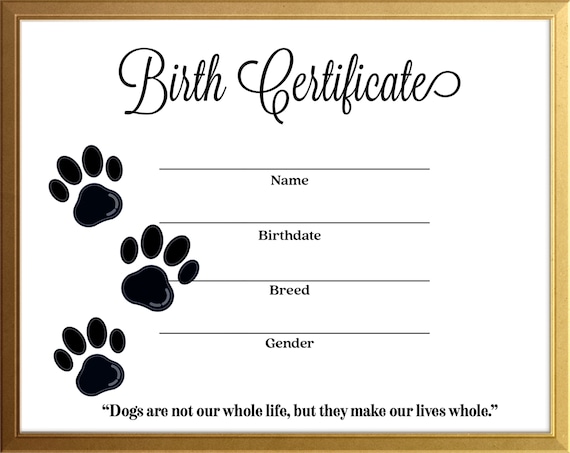 how to get dog birth certificate