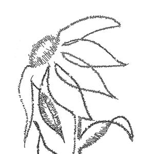May include: A black and white line drawing of a plant with leaves. The leaves are formed by the words "The future belongs to those who believe in the beauty of their dreams - Eleanor Roosevelt".