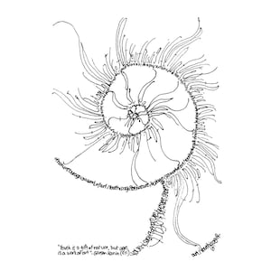 May include: Black and white line art illustration of a stylized flower with swirling petals and text. The text includes the quote "Youth is a gift of nature, but age is a work of art." by Garson Kanin.