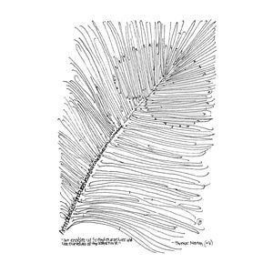 May include: A black and white line drawing of a palm frond with the quote "Art enables us to find ourselves and lose ourselves at the same time." by Thomas Merton. The artwork is a minimalist illustration.