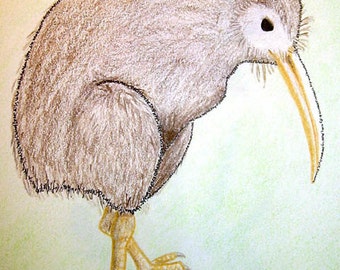 Kiwi in Tiny Words: Emily Dickinson's Kiwi - Emily Dickinson poem in pen and colored pencil (Original, One-of-a-Kind) by Carol Bloomgarden
