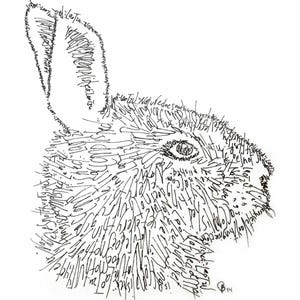 May include: Black and white illustration of a rabbit's profile, created with intricate text forming the fur and features. The artwork is detailed, with the text creating the shape of the rabbit's head, ear, and eye. The style is artistic and unique.