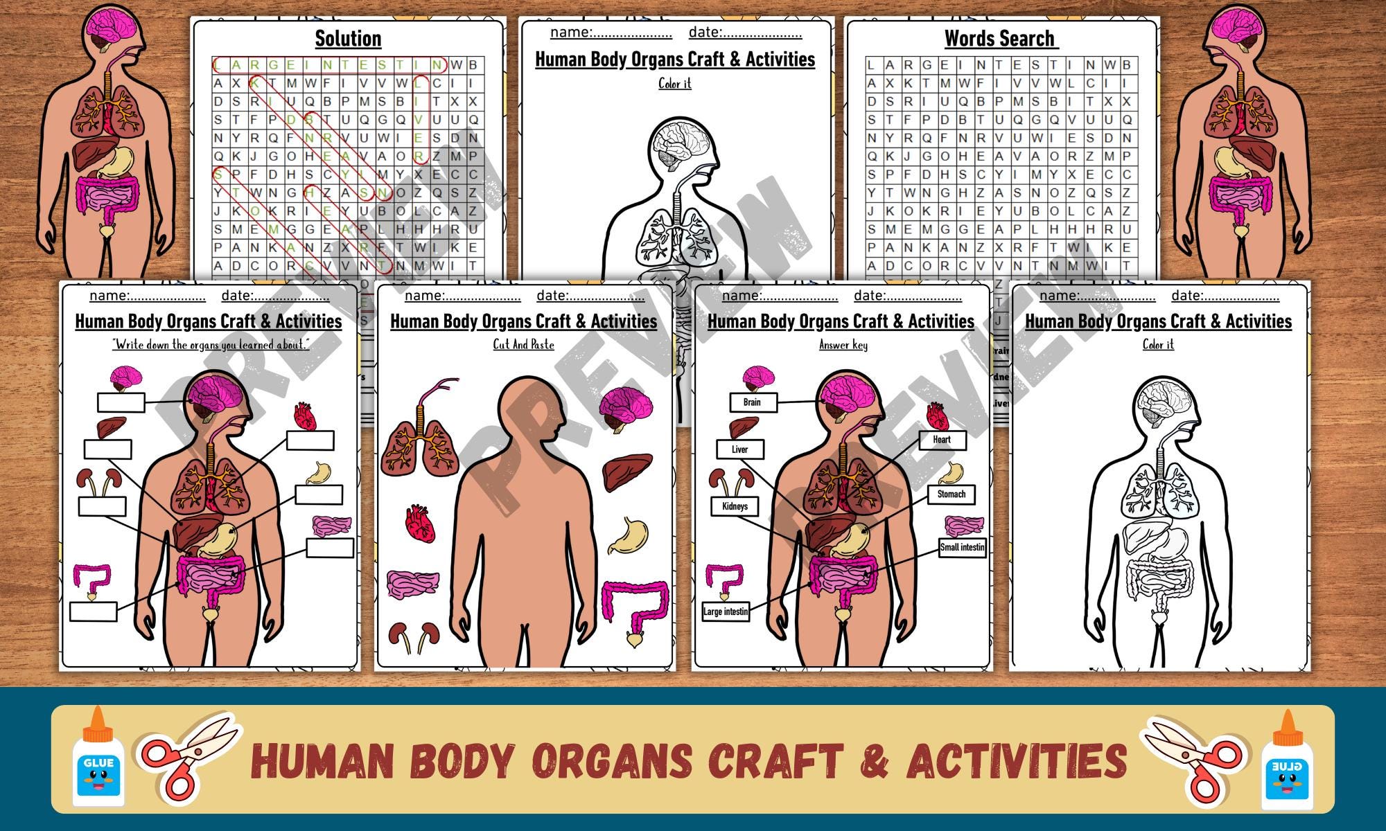 Human Body Organs Craft & Activities| Projects | Printable | Cut and ...