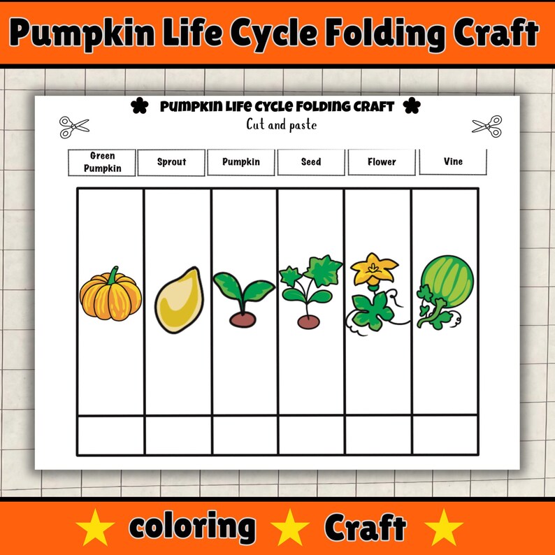 Pumpkin Life Cycle Folding Craft: Fall Science Activity (PDF) - Etsy