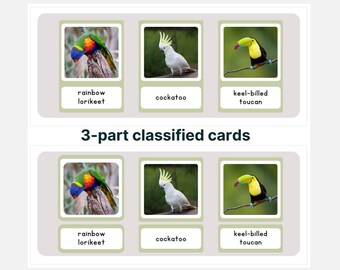 Montessori Exotic Birds 3-Part Cards: Zoology Learning (PDF)