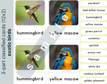 Montessori-dierenkaarten: 120 soorten, 10 categorieën (pdf)