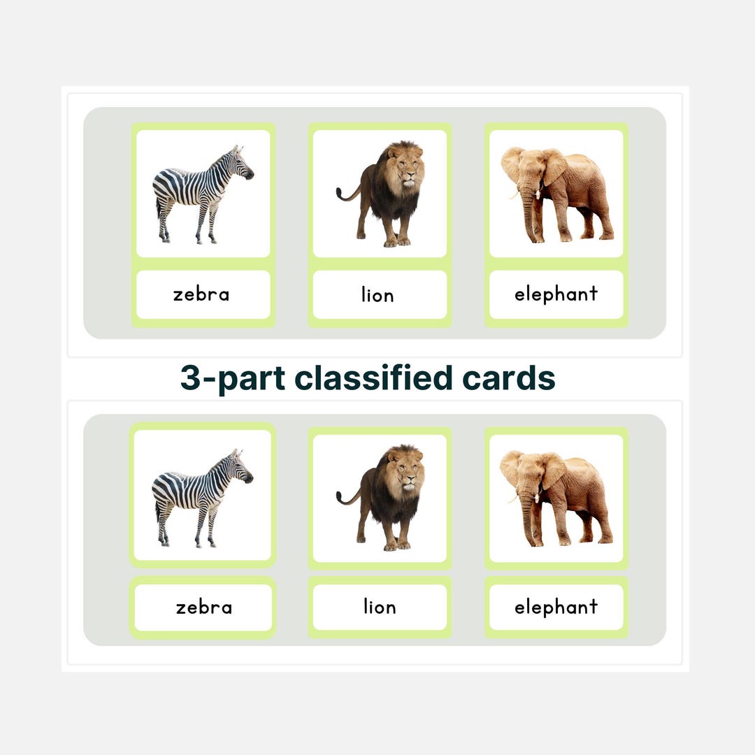 Montessori Wild Animals 3-part Cards: Zoology Learning (PDF) - Etsy