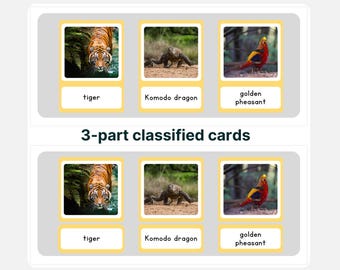 Montessori Asia Wildlife Cards: driedelig leermateriaal (pdf)
