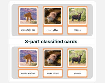 3-delige Montessori-kaarten Noord-Amerikaanse wilde dieren (pdf)