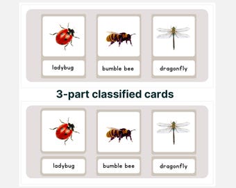 Montessori-insectenkaarten: 3-delig leermateriaal (pdf)