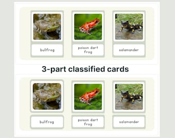 Montessori-reptielkaarten: driedelig leermateriaal (pdf)