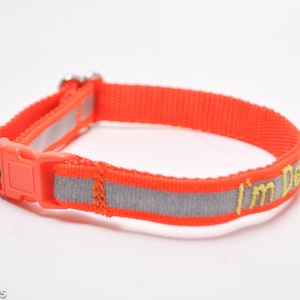 Personalized Reflective Safety Cat Collar/ Breakaway Collar/ Orange, Lime Green, Black, White, Pink, Red, Purple, Gray, or Royal