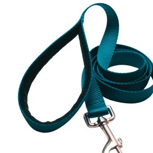 May include: A teal blue dog leash with a padded handle and a silver metal clip.