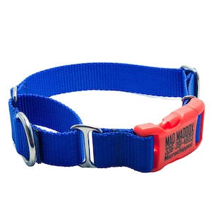 Nylon Martingale with Engraved Metal or Plastic Buckle Dog Collar/ ID Tag Quick Release Buckle Martingale / Personalized Buckle Martingale