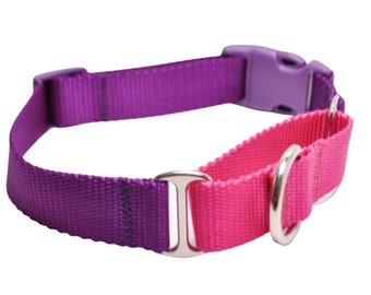 Nylon Webbing Martingale with Buckle Dog Collar / 24 Solid Colors / Quick Release Buckle Martingale / Pick your Collar and Loop Color