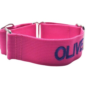 1.5 Inch Personalized Dog Collar / Martingale, Buckle Martingale, Flat Buckle / Wide Dog Collar/ ID Tag / Nylon Collar / Slip on