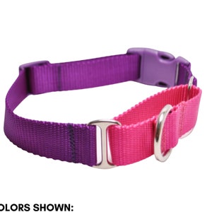 Nylon Webbing Martingale with Buckle Dog Collar / 24 Solid Colors / Quick Release Buckle Martingale / Pick your Collar and Loop Color