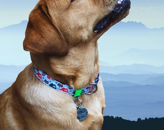 Dog tag holders removable deals