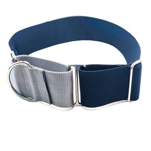 2 inch Nylon Webbing Martingale Dog Collar / Limited Slip Collar/ Solid Color Wide Width Nylon