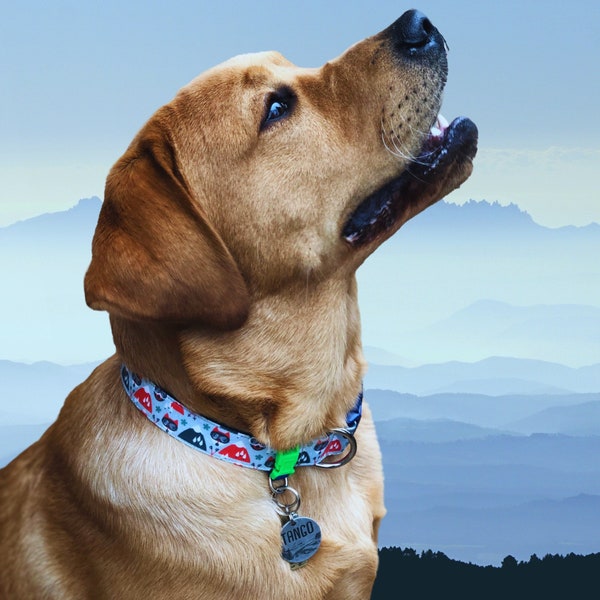 Removable I.D. Tag Changer / Change your dog's collar but not tags / ID Tag Holder / Martingale ID Tag /4 sizes / Glow in Dark Buckle Option