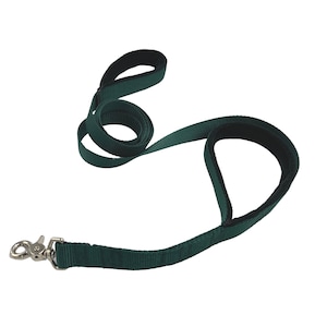 May include: A dark green dog leash with a padded handle and a silver clip.