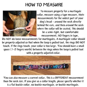 May include: An instructional graphic titled HOW TO MEASURE featuring text on measuring a dog for a martingale collar. Below, a colorful patterned dog collar with a black plastic buckle is shown aligned against a wooden ruler measuring 16 inches.