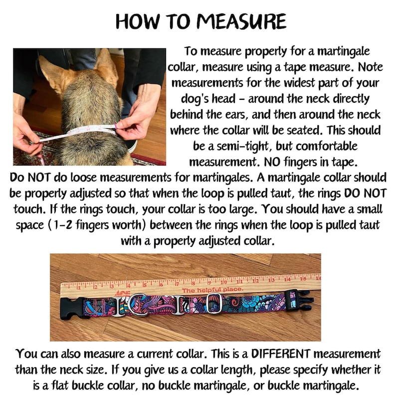 May include: An instructional graphic titled HOW TO MEASURE featuring text on measuring a dog for a martingale collar. Below, a colorful patterned dog collar with a black plastic buckle is shown aligned against a wooden ruler measuring 16 inches.