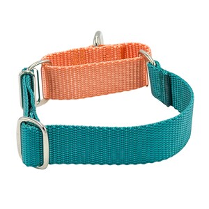 May include: A martingale collar featuring a teal nylon strap and a contrasting peach-colored nylon loop. The collar includes silver-toned metal hardware, including two rectangular sliders and a D-ring for attachment, with a durable woven texture.