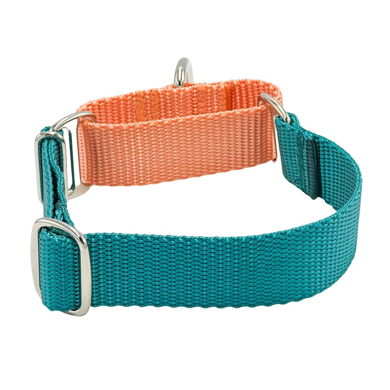 May include: A martingale collar featuring a teal nylon strap and a contrasting peach-colored nylon loop. The collar includes silver-toned metal hardware, including two rectangular sliders and a D-ring for attachment, with a durable woven texture.