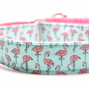 May include: A light blue pet collar featuring a repeating pattern of pink flamingos with black outlines. The collar includes a bright pink inner lining, silver-toned metal hardware, and an adjustable slider. The text @3pooches is visible.