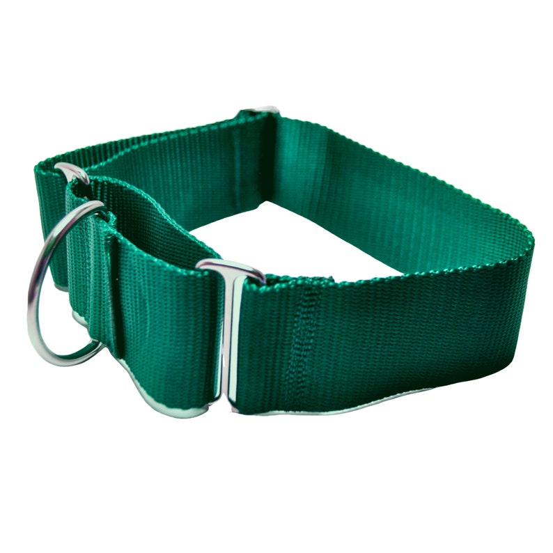 May include: A green nylon dog collar with a silver metal buckle and D-ring.