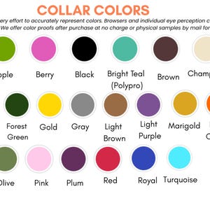 Może przedstawiać: Wzornik kolor&oacute;w zatytułowany COLLAR COLORS przedstawiający osiemnaście okrągłych pr&oacute;bek z etykietami: Apple, Berry, Black, Bright Teal (Polypro), Brown, Champagne, Coral, Forest Green, Gold, Gray, Light Brown, Light Purple, Marigold, Neon Orange, Olive, Pink, Plum, Red, Royal oraz Turquoise.