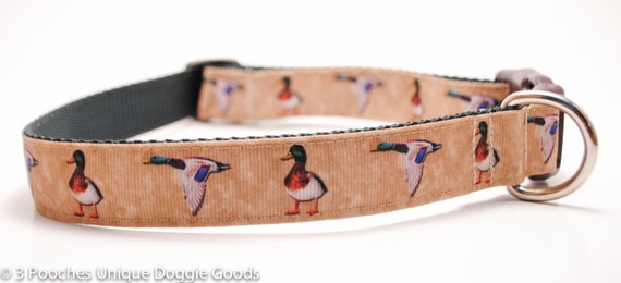 Mallard Ducks Dog Collar Hunting Dog Retriever Woodland Green and Brown Duck Toller