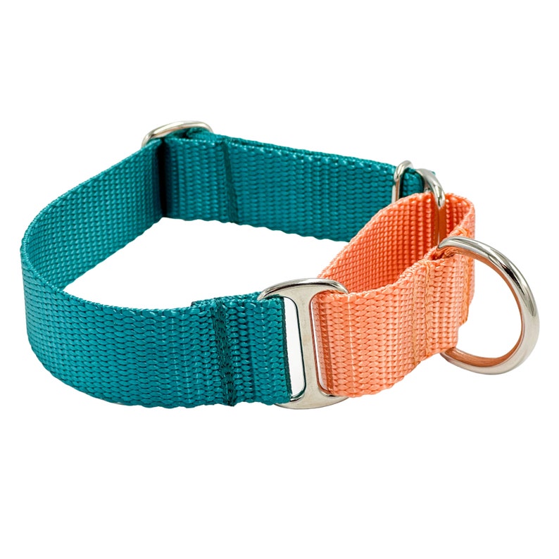 May include: A martingale collar constructed from teal and peach-colored nylon webbing. The collar features silver-toned metal hardware, including two rectangular slides and a circular D-ring attached to the smaller loop section of the strap.