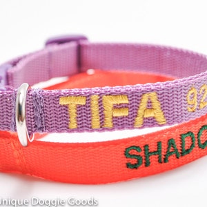 Personalized Safety Cat Collar/You pick Color/15 Colors/Breakaway Collar/Choose embroidery color and font image 1