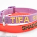 see more listings in the Cat Collars section